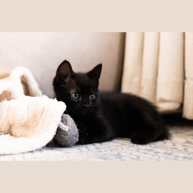Photo of Jet