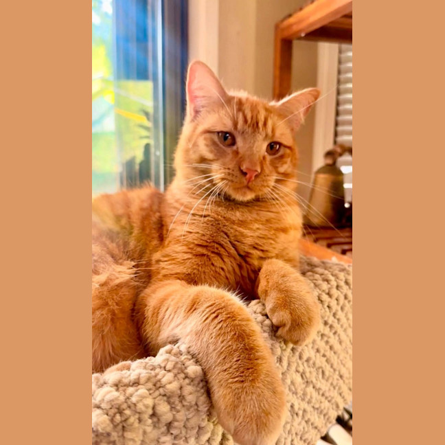 Photo of Bockwinkle 