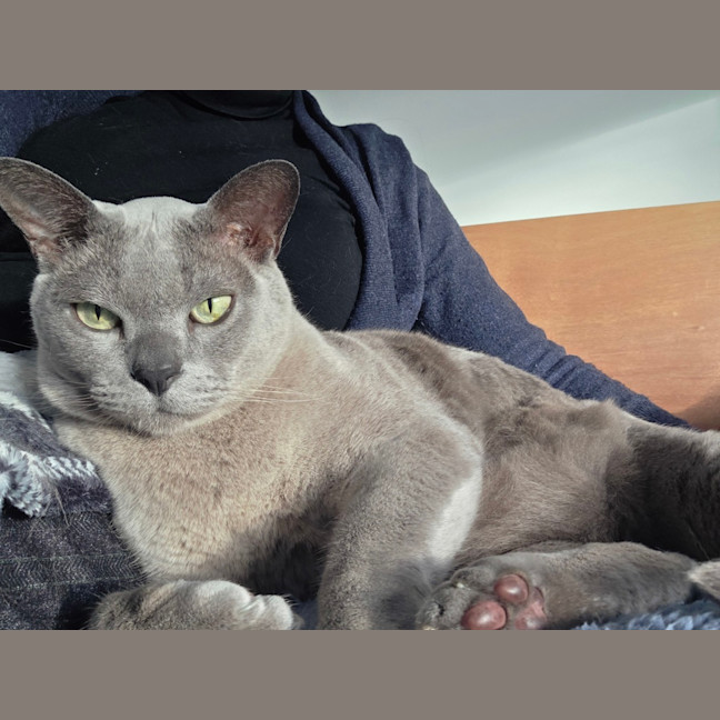 Photo of Chappy