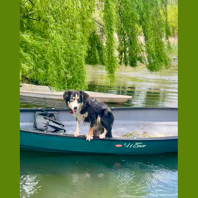 Photo of Flossie