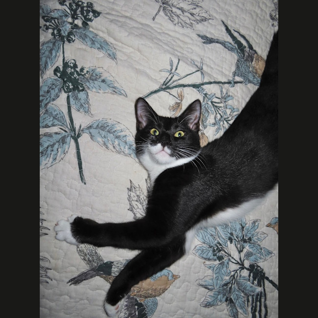 Photo of Mercury K33