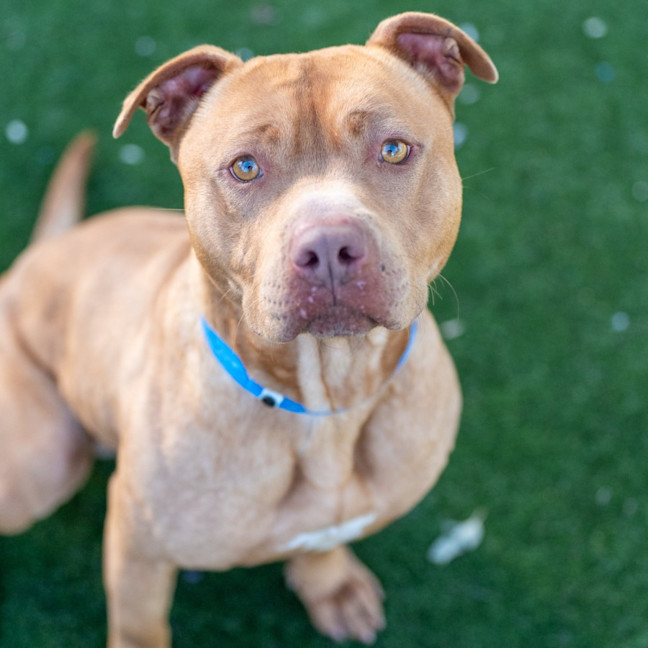 Photo of Theo Imp 690