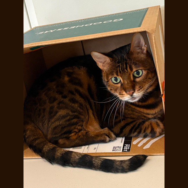 Photo of Mishy