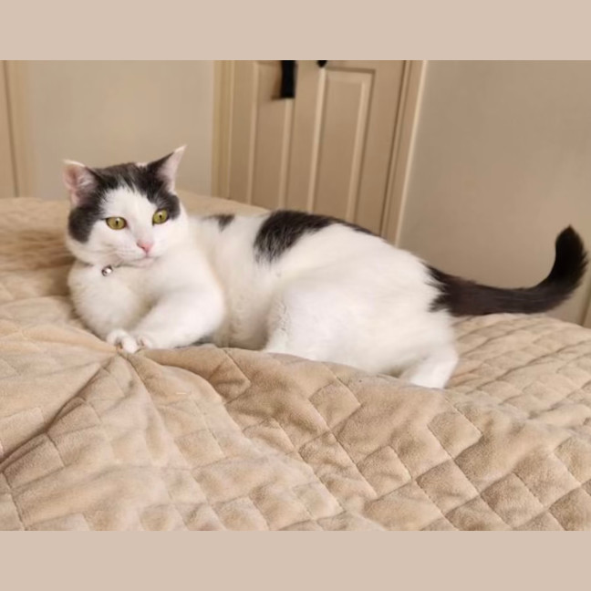 Photo of Lexie