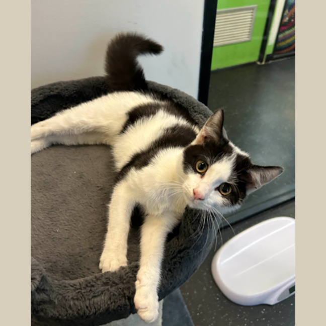 Photo of Myrrh Durrh