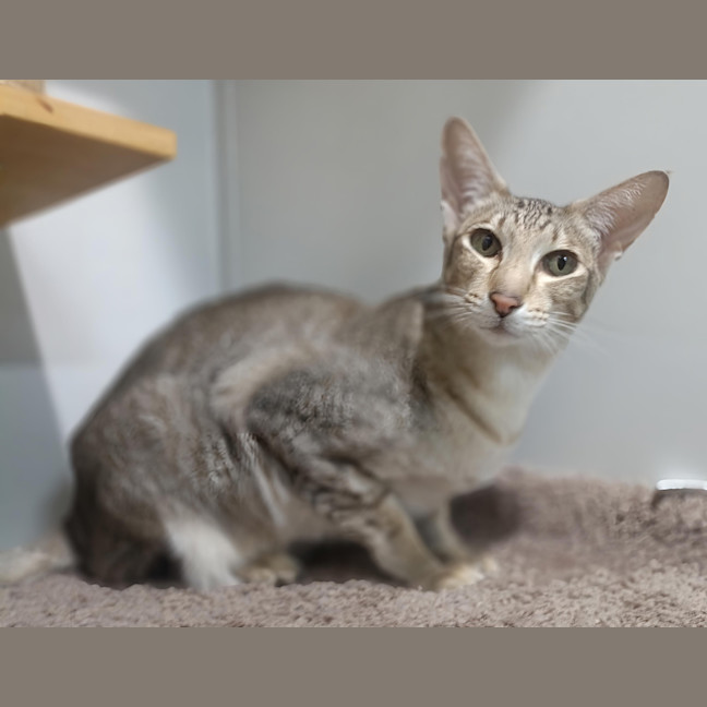 Photo of Elsie