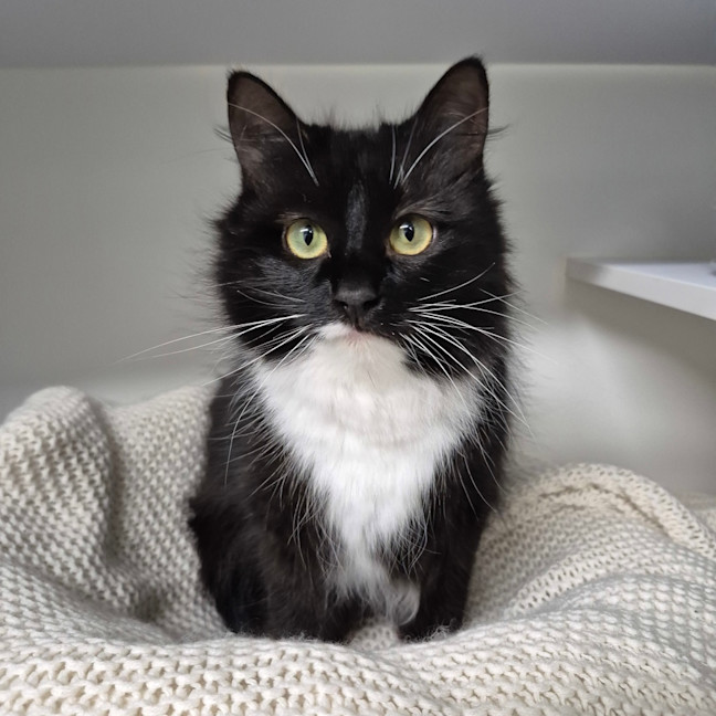 Photo of Luna 