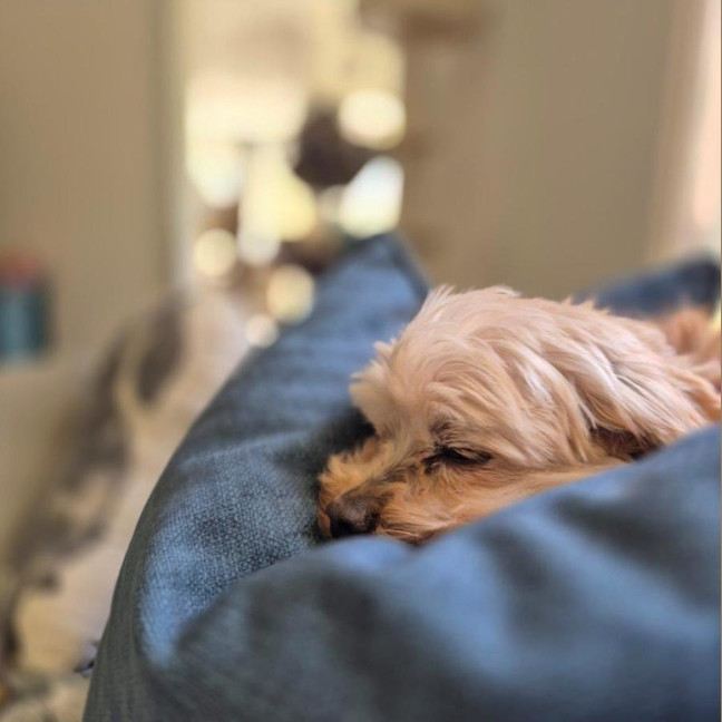 Photo of Charlie Silvanus