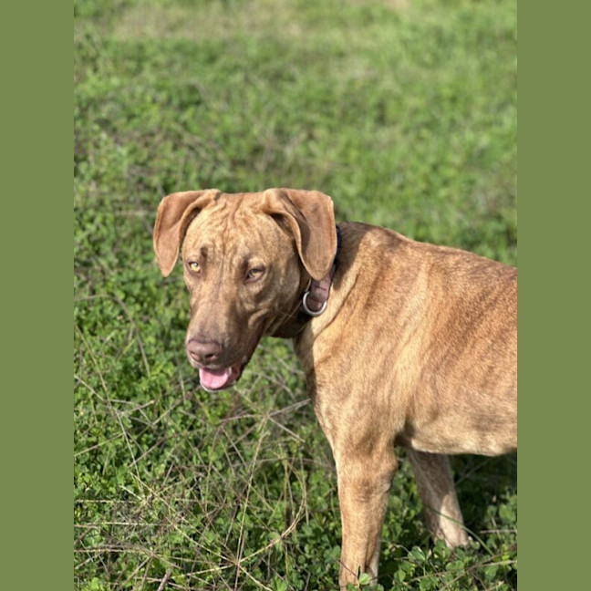 Photo of Jax