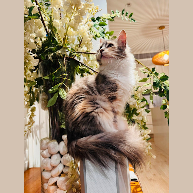 Photo of Lucy