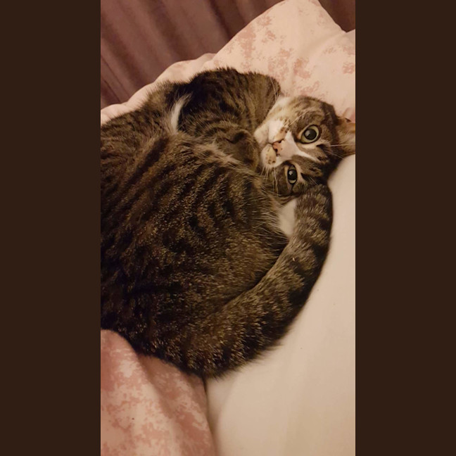 Photo of Jelly