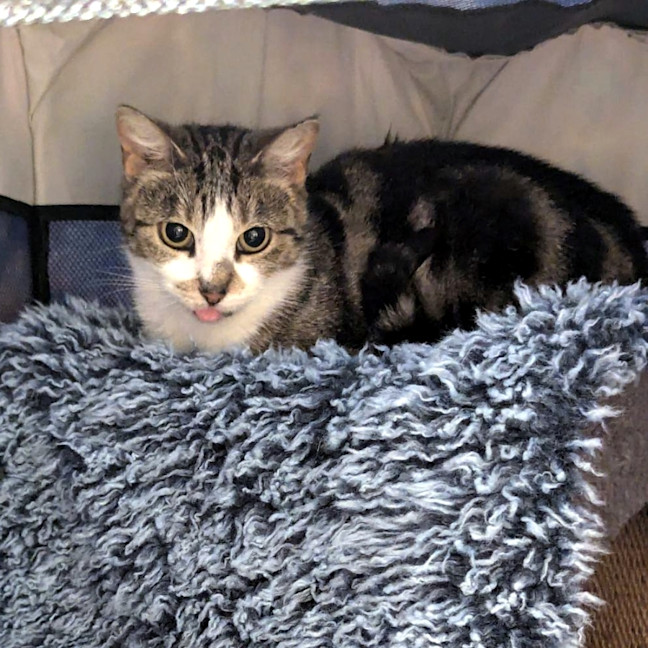 Photo of Frankie Sta013010