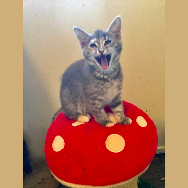 Photo of Isla