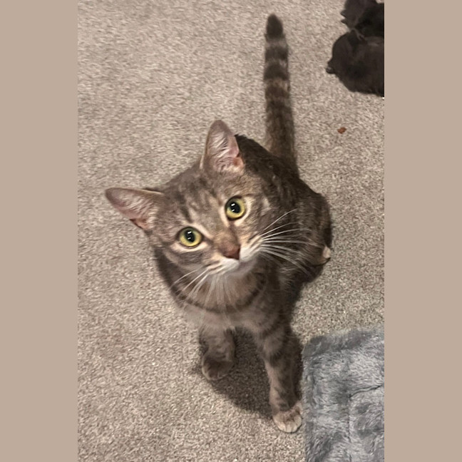 Photo of Emily
