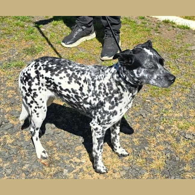 Photo of Zena