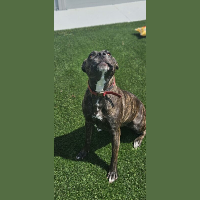 Photo of Suzie