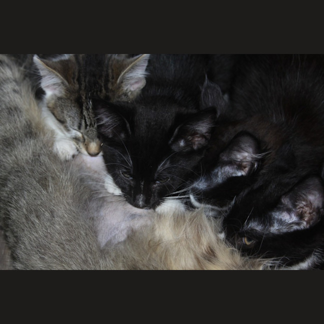 Photo of 💗 Peggy 💗