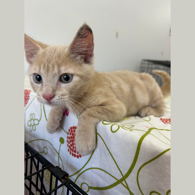 Photo of Bingo