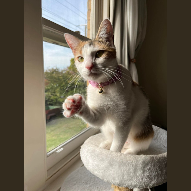 Photo of Jemima