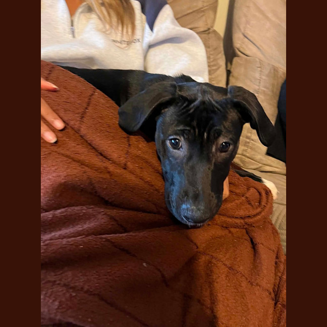 Photo of Mellow