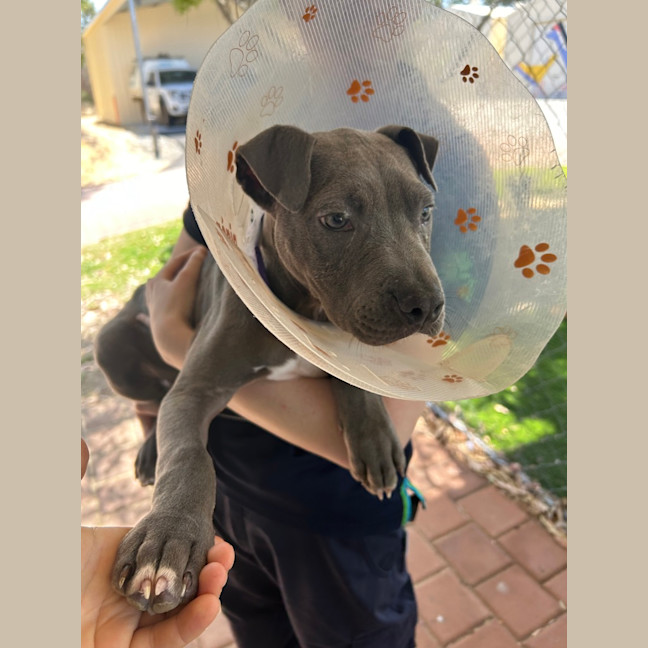Photo of Zeus