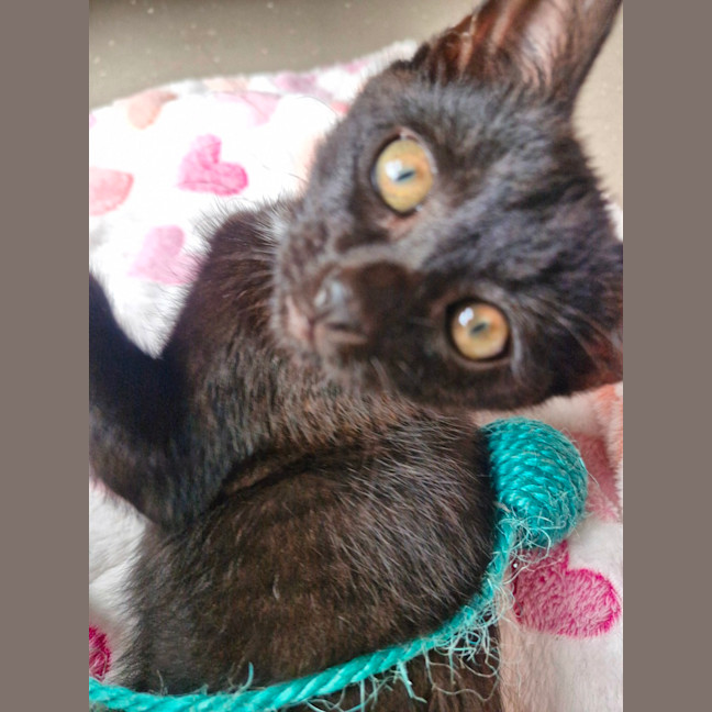 Photo of C1544 Odessa