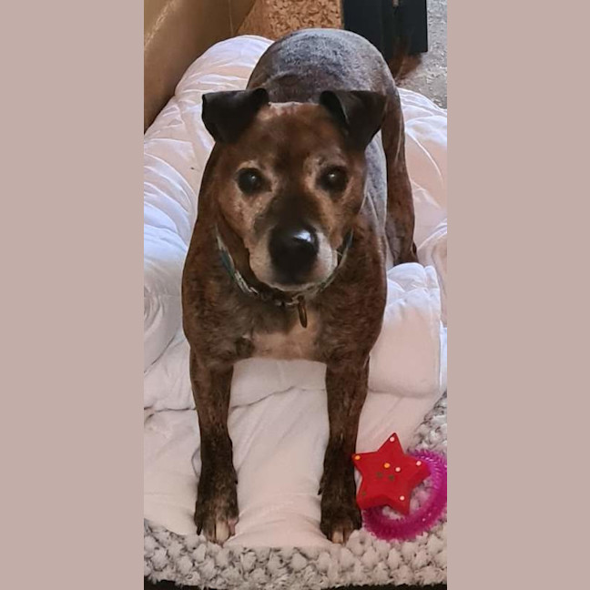 Photo of Ted