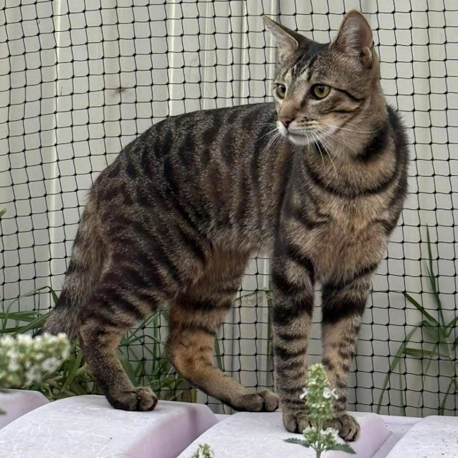 Photo of 11541   Ryan