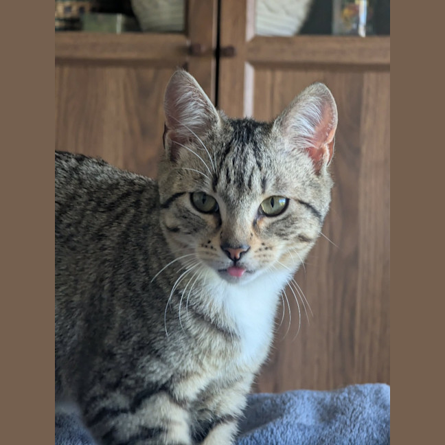 Photo of Artemis
