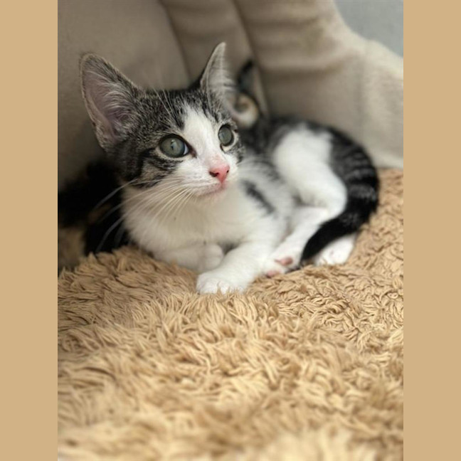 Photo of Crunchy