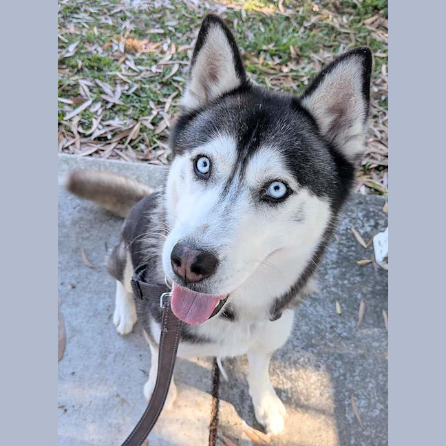 Photo of Zoe