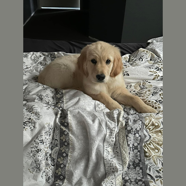 Photo of Sammy