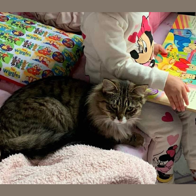 Photo of Nala Queen Of The Jungle