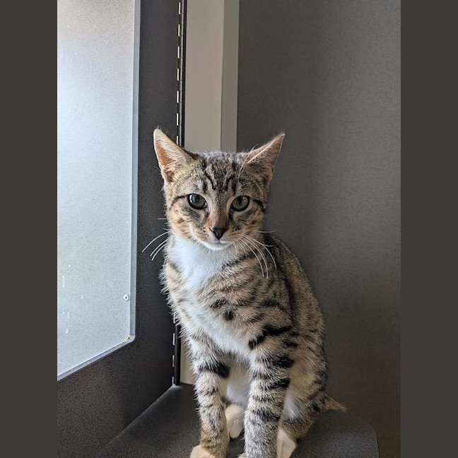 Photo of Luka