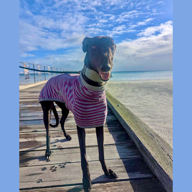Photo of Izzie