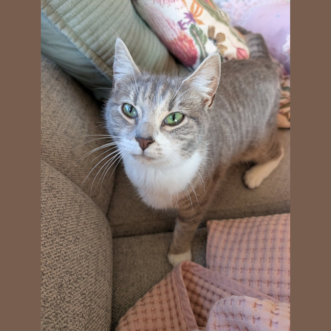 Photo of Leeloo