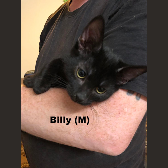 Photo of Billy And Zamora