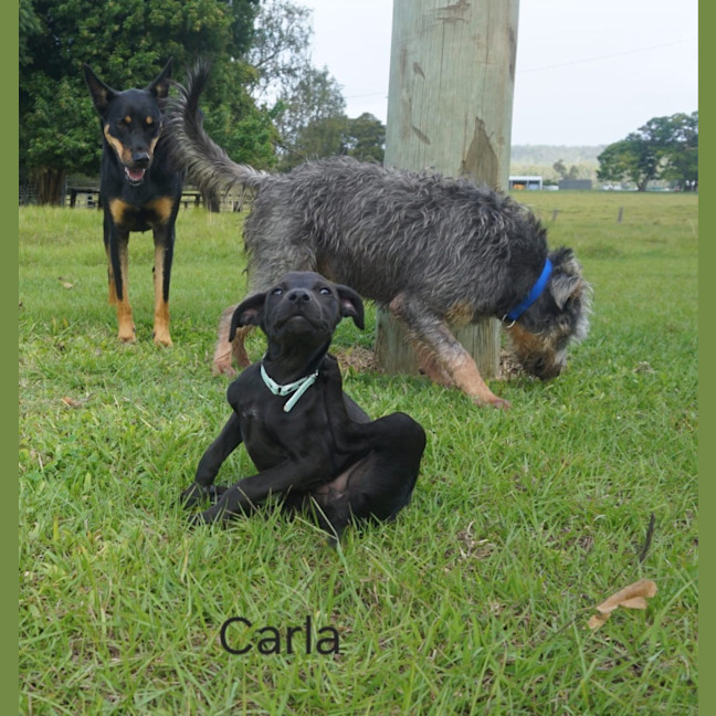 Photo of Carla