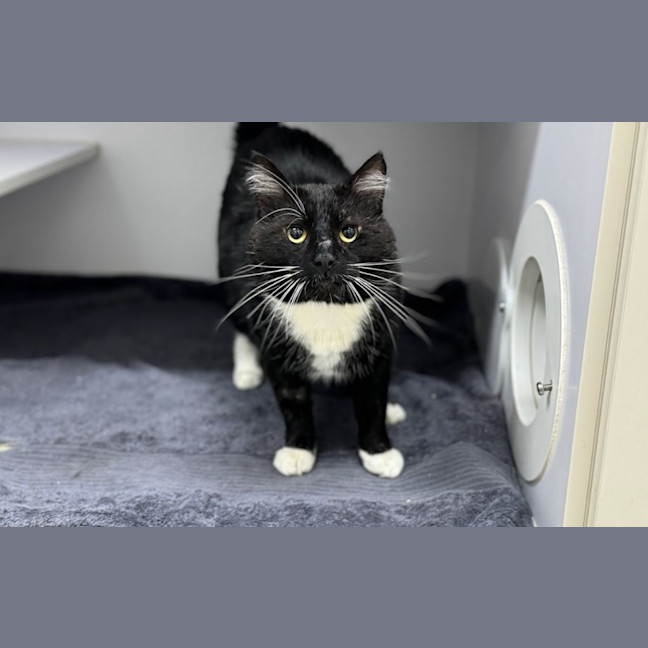 Photo of Misfit