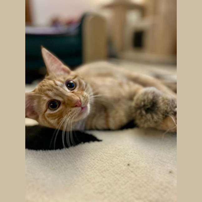 Photo of George   Located In Lower Plenty