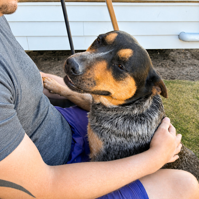 Photo of Roxy