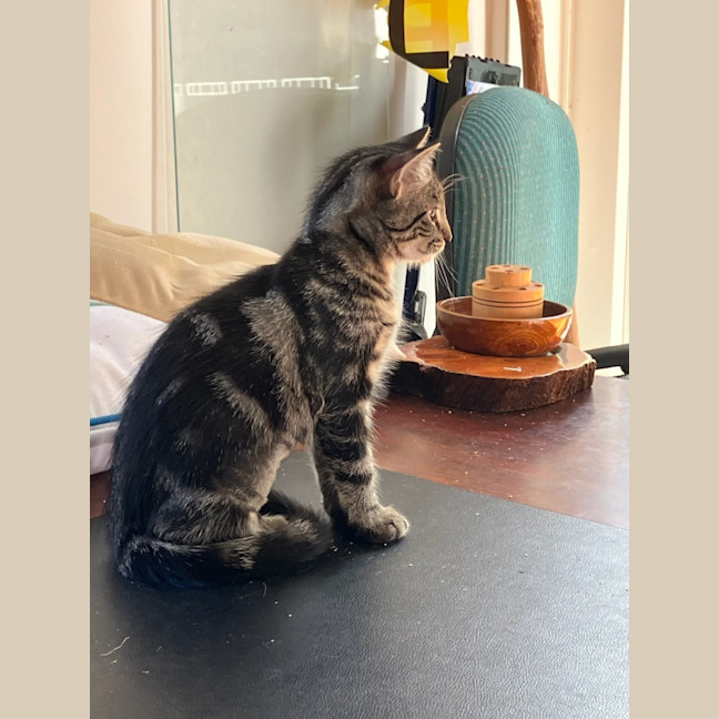 Photo of Chloe♥️