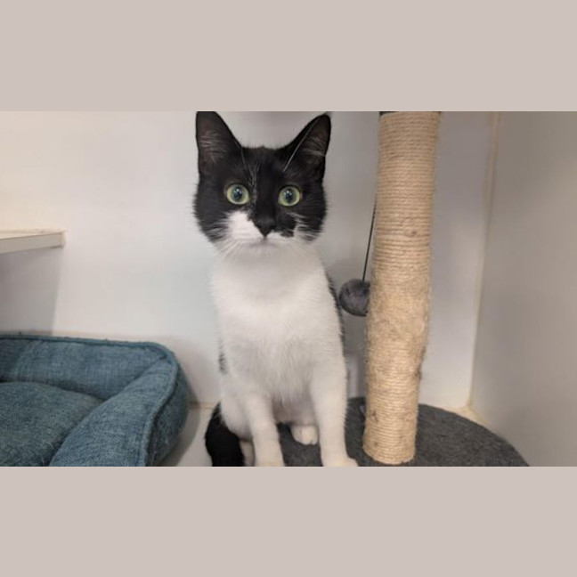 Photo of Sprout