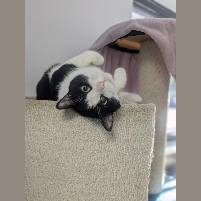 Photo of Moo 