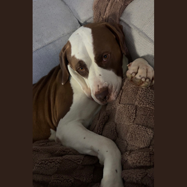 Photo of Benson