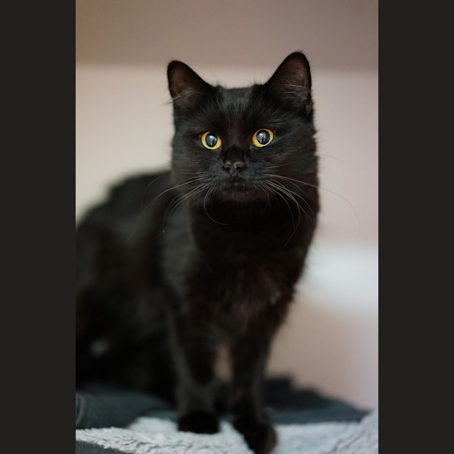 Photo of Lilith