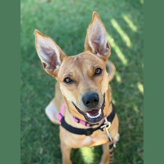 Photo of Abby
