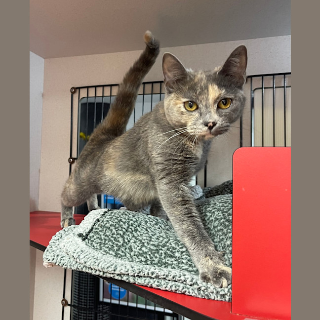 Photo of Storm