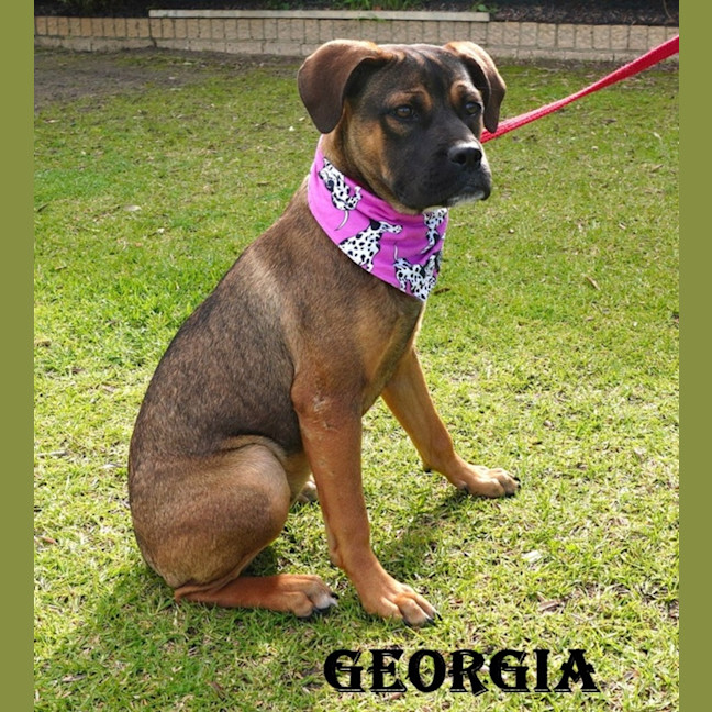 Photo of Georgia