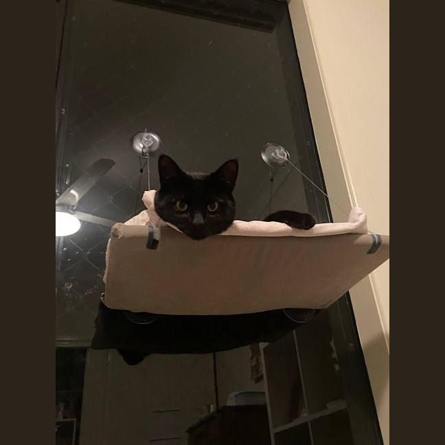 Photo of Salem